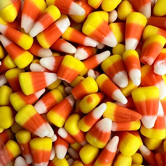 Gene and Boots Candies Halloween